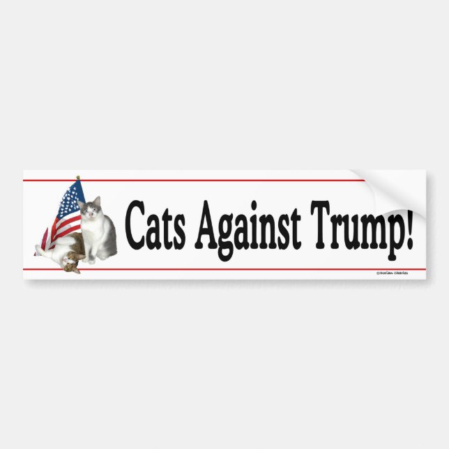 "Katzen gegen Trumpf" Autoaufkleber (Vorne)