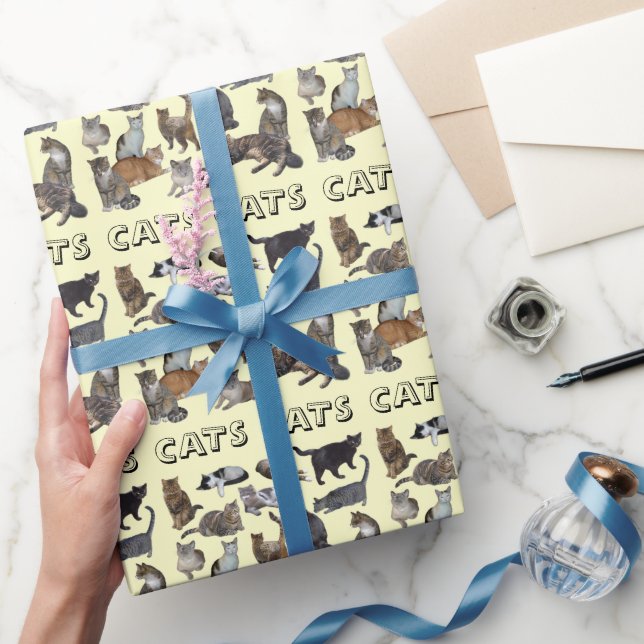 Katzen Geschenkpapier (Schenken)