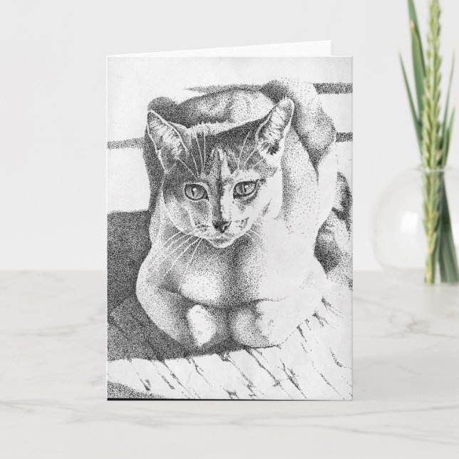 Katzen-Gruß-Karte Karte (Vorderseite)