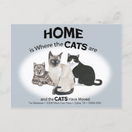 Katzen haben die Postkarte verschoben