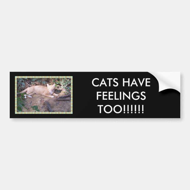 KATZEN HABEN GEFÜHLE AUCH!!!!!! AUTOAUFKLEBER (Vorne)