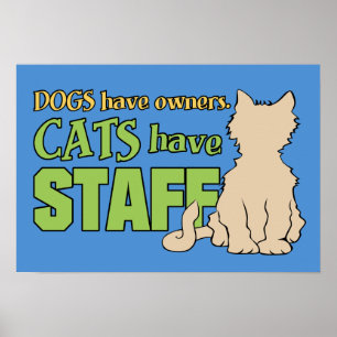 KATZEN HABEN personelles Plakat