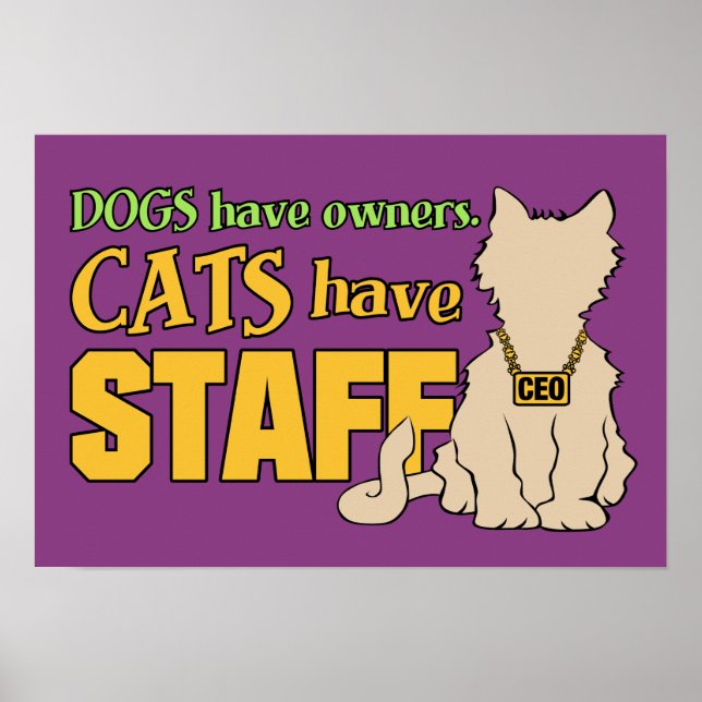 KATZEN HABEN personelles Plakat (Vorne)