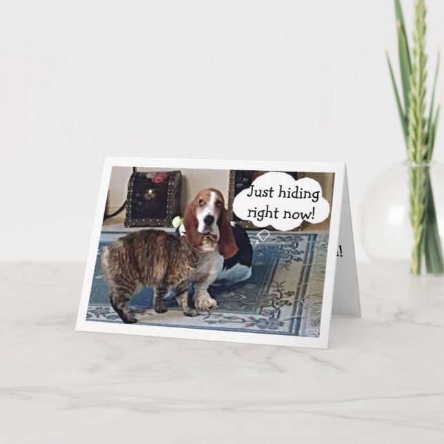 KATZEN HÖREN HINTER BASSET HUNDERTGEFÜHLE KARTE (Vorderseite)