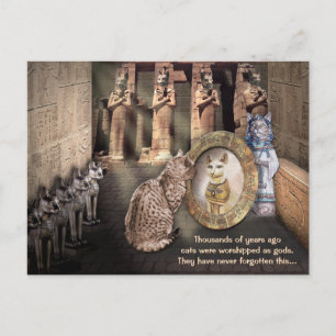 Katzen im alten Ägypten Postkarte