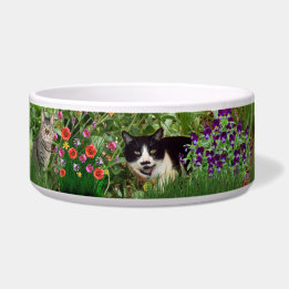 Katzen im Blumengarten Foto Collage Pet Wasser Napf