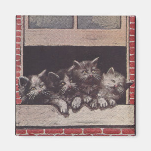 Katzen im Fenster Vintag Magnet