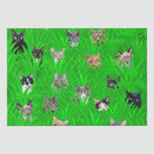 Katzen im Gras-Seidenpapier Seidenpapier