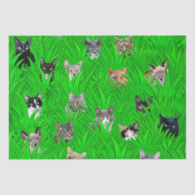 Katzen im Gras-Seidenpapier Seidenpapier (Vorderseite)