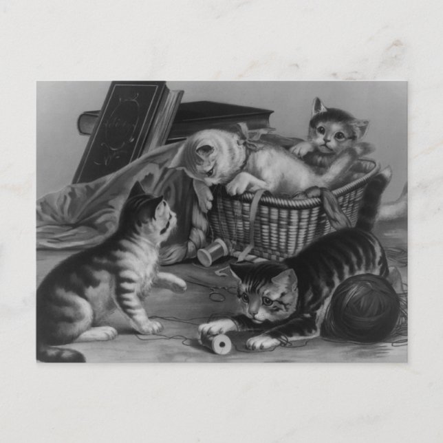 Katzen im Nähkorb Postkarte (Vorderseite)