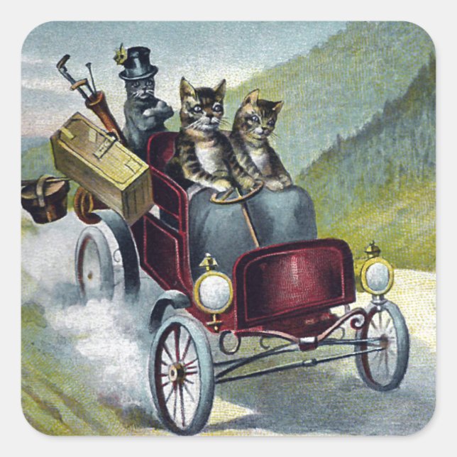 Katzen im Urlaub im Catskill Gebirge Quadratischer Aufkleber (Vorderseite)
