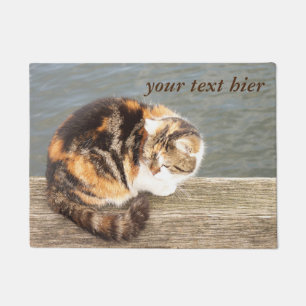 Katzen im Wasser Fußmatte