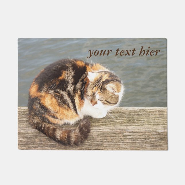 Katzen im Wasser Fußmatte (Vorderseite)