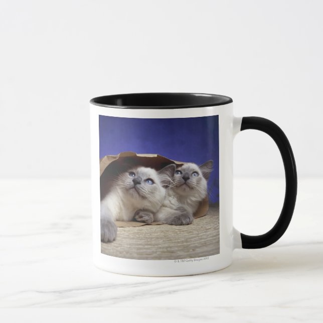 Katzen in der Papiertüte Tasse (Rechts)