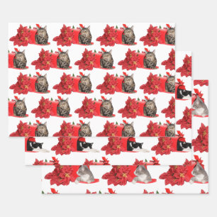 Katzen in der Weihnachtspost Geschenkpapier Set