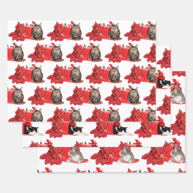 Katzen in der Weihnachtspost Geschenkpapier Set (Set)