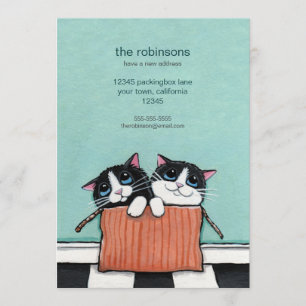 Katzen in einem Packstück  Neue Zuhause - Ankündig Ankündigung