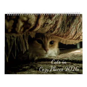 Katzen in gemütlichen Orten 2026 Kalender