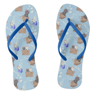 Katzen in Kiste und Milchfallen auf blau Flip Flops