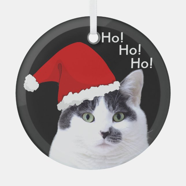 Katzen in Weihnachtsmannmützen Weihnachten Ornament Aus Glas (Vorderseite)