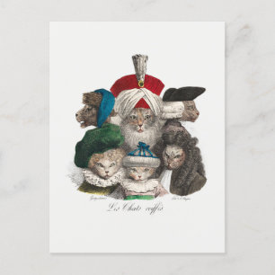 Katzen in Wigs und Hats Alberne Illustration Postkarte