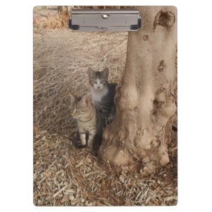 KATZEN IN WOODLAND KLEMMBRETT
