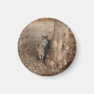 KATZEN IN WOODLAND MAGNET