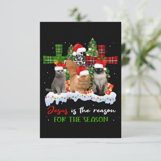 Katzen Jesus ist Grund für die Weihnachtsfeier häs Dankeskarte (Stehend Vorderseite)