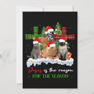 Katzen Jesus ist Grund für die Weihnachtsfeier häs Einladung