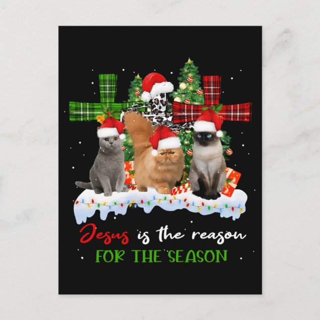 Katzen Jesus ist Grund für die Weihnachtsfeier häs Postkarte (Vorderseite)