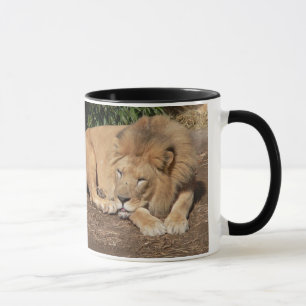 Katzen-Kaffee-Tasse Tasse