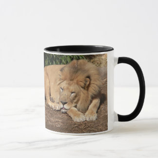 Katzen-Kaffee-Tasse Tasse