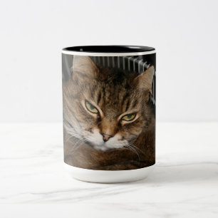 Katzen-Kaffeetasse Zweifarbige Tasse