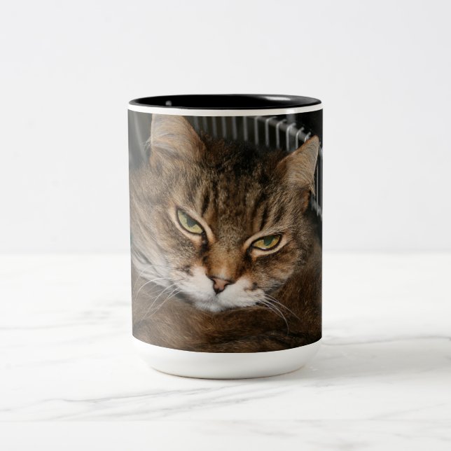 Katzen-Kaffeetasse Zweifarbige Tasse (Mittel)
