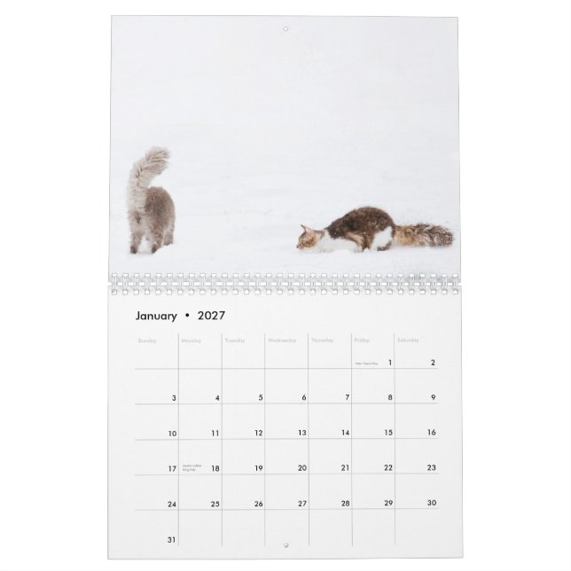 Katzen-Kalender 2012 Kalender (Jan 2027)