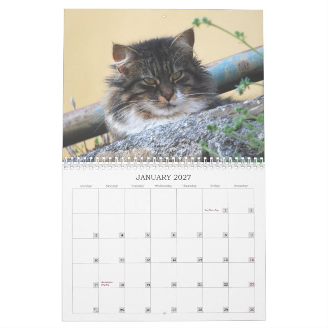 Katzen-Kalender 2014 Kalender (Jan 2027)