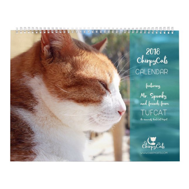 Katzen-Kalender 2018 - Chirpy Katzen Kalender (Titelbild)