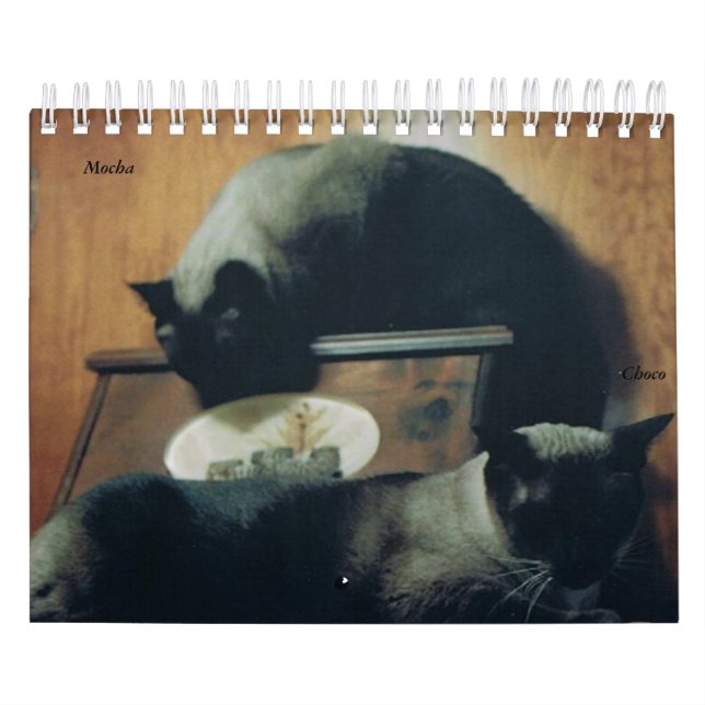 Katzen-Kalender Kalender (Titelbild)