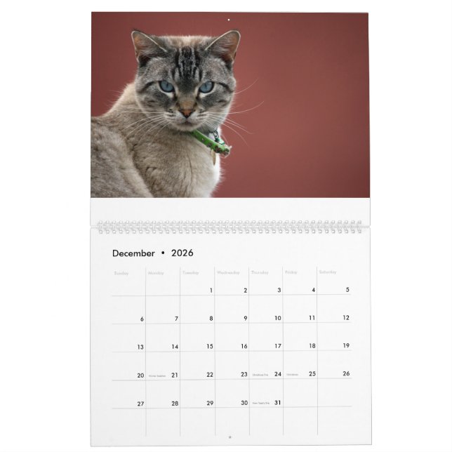 Katzen-Kalender Kalender (Dez 2026)