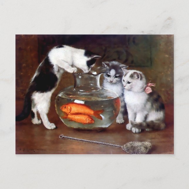 Katzen Kätzchen Angeln in einer Fischschüssel Gemä Postkarte (Vorderseite)