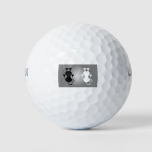 Katzen Kätzchen die Krüge Kätzchen Weiße Katze Golfball