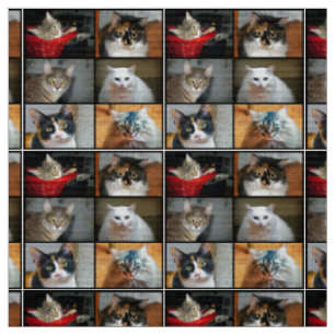 Katzen Katzen Katzen Katzen Stoff