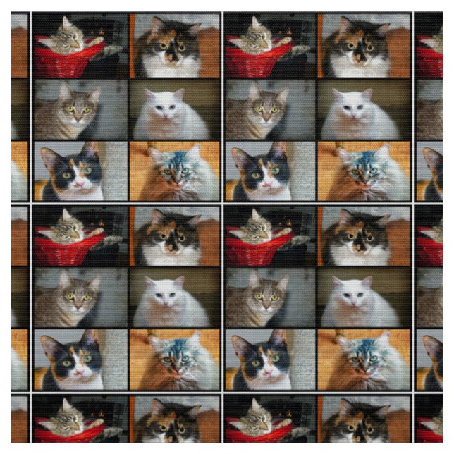 Katzen Katzen Katzen Stoff (Muster)