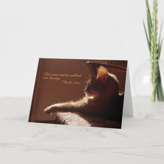 Katzen kommen und gehen Karte (Vorderseite)