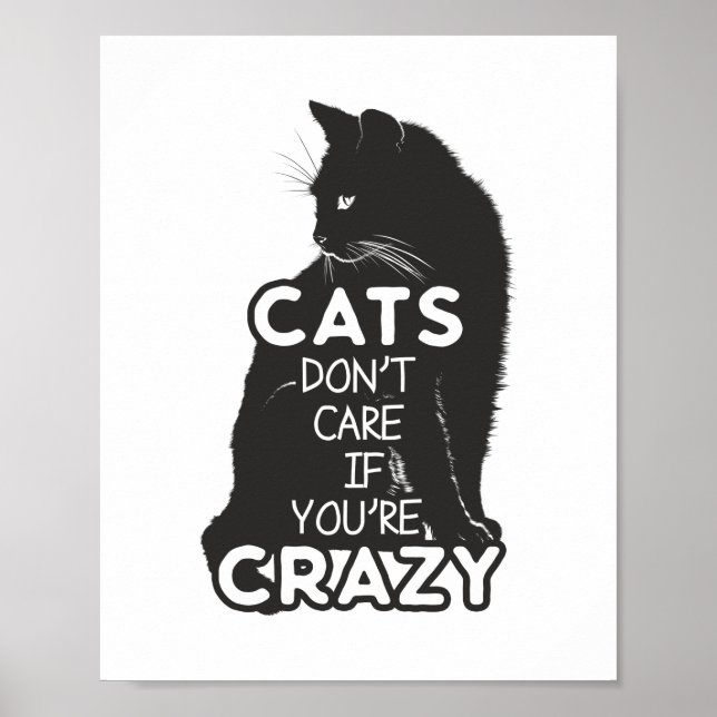 Katzen kümmern sich nicht, wenn du verrückter Spaß Poster (Vorne)