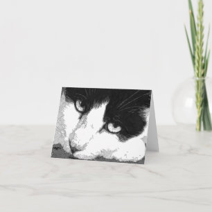 Katzen-Kunst-Anmerkungs-Karte Karte