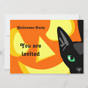 Katzen-Kürbis-Halloween-Einladung Einladung