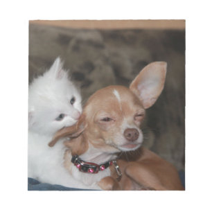 Katzen lecken Hund Notizblock