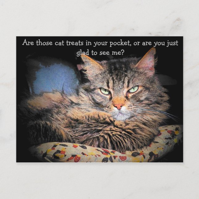 Katzen Leckereien? oder... Postkarte (Vorderseite)