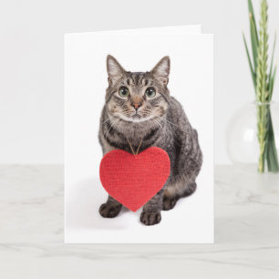 Katzen-Liebe Feiertagskarte